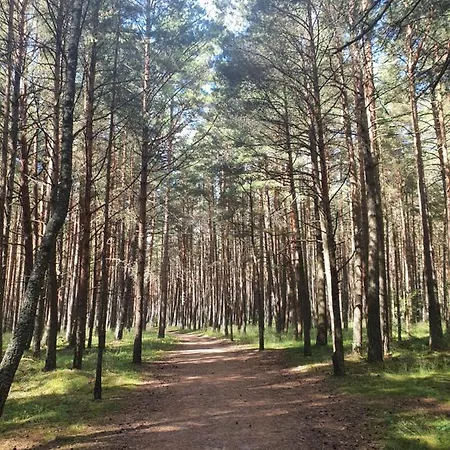 Berzelis Апартаменты