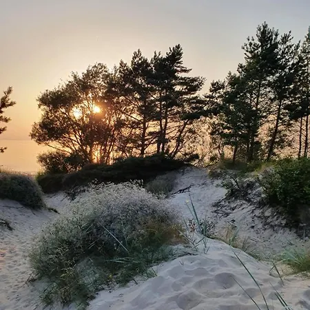Berzelis * Palanga