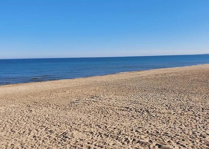 Daire Berzelis Palanga