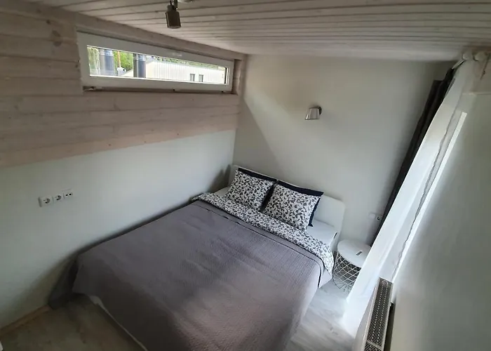 Berzelis Daire Palanga