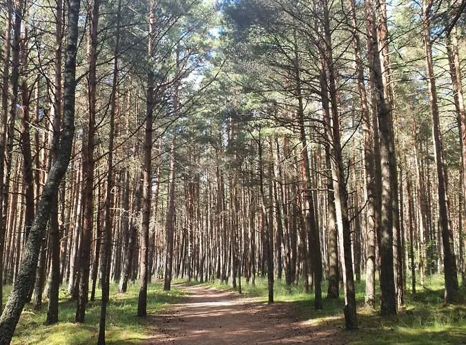 Berzelis Апартаменти