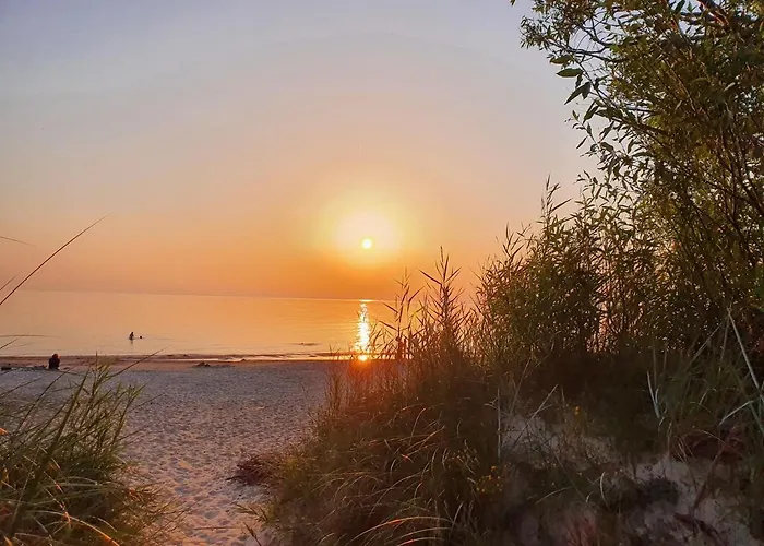 Daire Berzelis Palanga